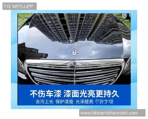 陈强独家分享排球心得与技巧助你提升球技的全面指南